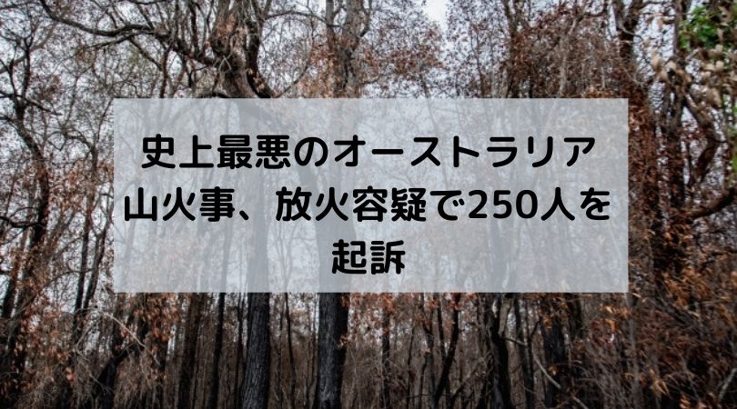 史上最悪のオーストラリア山火事 放火容疑で250人を起訴 Ozkoi